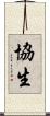 協生 Scroll