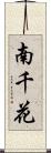 南千花 Scroll