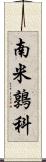 南米鶉科 Scroll