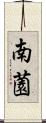 南薗 Scroll
