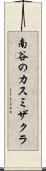 南谷のカスミザクラ Scroll