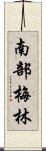 南部梅林 Scroll