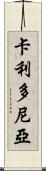 卡利多尼亞 Scroll