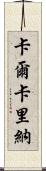 Calcarina Scroll