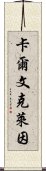 卡爾文克萊因 Scroll