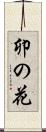 卯の花 Scroll