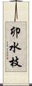 卯水枝 Scroll