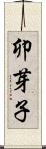卯芽子 Scroll