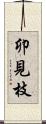 卯見枝 Scroll