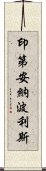 印第安納波利斯 Scroll