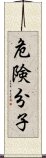 危険分子 Scroll