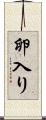 卵入り Scroll