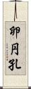 卵円孔 Scroll