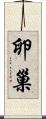 卵巢 Scroll