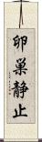 卵巣静止 Scroll