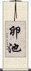卵池 Scroll