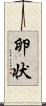卵状 Scroll