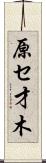 原セ才木 Scroll