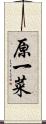 原一菜 Scroll