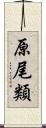 原尾類 Scroll