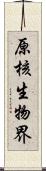 原核生物界 Scroll