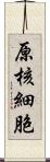 原核細胞 Scroll