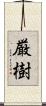 厳樹 Scroll