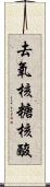 去氧核糖核酸 Scroll