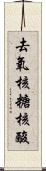 去氧核糖核酸 Scroll