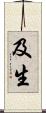 及生 Scroll