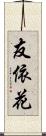友依花 Scroll