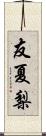 友夏梨 Scroll