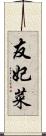 友妃菜 Scroll
