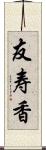 友寿香 Scroll