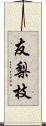友梨枝 Scroll