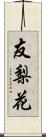 友梨花 Scroll