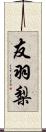 友羽梨 Scroll