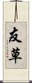 友草 Scroll