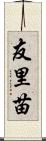 友里苗 Scroll