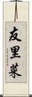 友里菜 Scroll