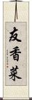 友香菜 Scroll