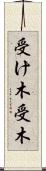受け木 Scroll