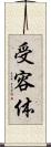 受容体 Scroll