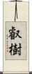 叡樹 Scroll