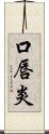 口唇炎 Scroll