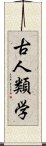 古人類学 Scroll