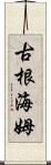 古根海姆 Scroll