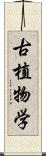 古植物学 Scroll