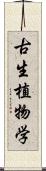 古生植物学 Scroll