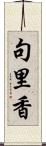 句里香 Scroll